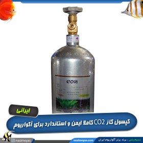 تصویر کپسول CO2 فلزی آکواریوم درجه یک و استاندارد CO2 Capsule