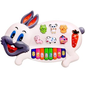 تصویر ارگ خرگوش خارجی اصلی 