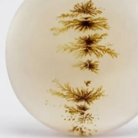 تصویر سنگ شجر کد 2324 