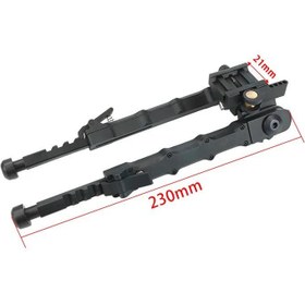 تصویر دوپایه متحرک 