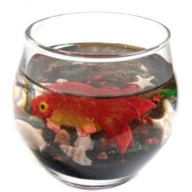 تصویر تنگ ماهی قرمز کد 001 