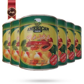 تصویر 6 عدد کمپوت آمریکن گرین فارم american green farm مدل کوکتل میوه فیستا Fiesta fruit cocktail وزن 850 گرم 