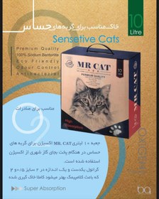 تصویر خاک گربه مناسب گربه های حساس مستر کت 10 لیتری Mr Cat Sensitive 