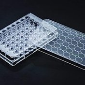 تصویر پلیت 48 خانه کشت سلول بچسب استریل SPL کد 30048 SPL 48 Well Plate, cell and Tissue Culture Treated, Sterile Flat Bottom, 30048