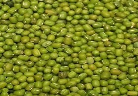 تصویر ماش محلی درجه یک 