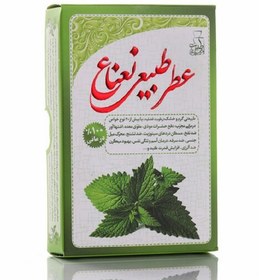 تصویر عطر نعناع - مرهم طبیب (طبیعی و درمانی) (1و 4 گرمی) 