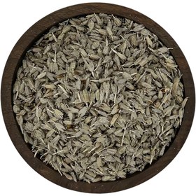 تصویر شکوفه سنجد 