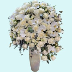 تصویر جام گل بله برون 