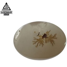 تصویر شجر S58 