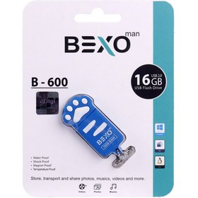 تصویر فلش 16 گیگ بکسومن Bexoman B-600 Bexoman B-600 16GB USB2.0 Flash Memory