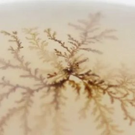 تصویر سنگ شجر کد 2388 