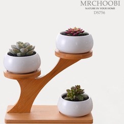 تصویر استند گل و گیاه نارون مدل DS756 شیک و کاربردی 