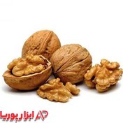 تصویر نهال گردو فرنور پیوندی ۴ عدد 