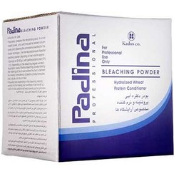 تصویر پودر دکلره آبی پادینا حاوی پروتئین گندم 550 گرم Padina Blue Hair Bleaching Powder - 550 G