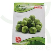 تصویر بذر کلم بروکسل سانجی (Sunagri) 