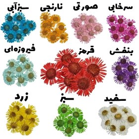 تصویر گل خشک مینا پرسی وارداتی 