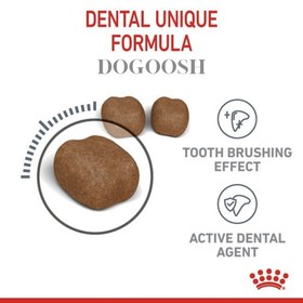 تصویر غذای خشک مراقبت از دندان گربه رویال کنین Royal Canin Dental Care وزن 1.5 کیلوگرم رویال کنین