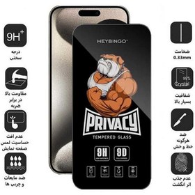 تصویر گلس محافظ صفحه نمایش حریم شخصی (پرایویسی) مدل Privacy Hey Bingo مناسب برای گوشی موبایل اپل iPhone XS MAX / 11 pro max 