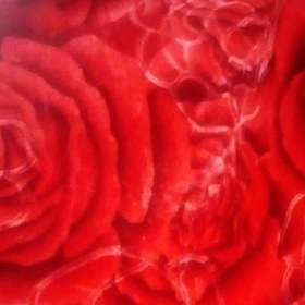 تصویر پتو گل بافت درجه 1 دو نفره با گل قرمز 