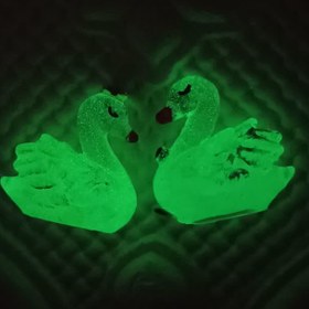 تصویر قالب قو 