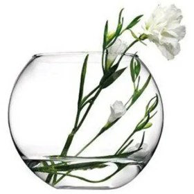 تصویر تنگ توپی پاشاباغچه کد 45068 