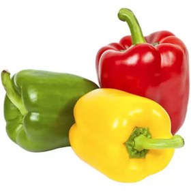 تصویر فلفل دلمه رنگی 