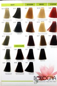 تصویر رنگ مو بلونیا بدون آمونیاک شماره 8.11 بلوند زیتونی روشن حجم 100 میل Bolonia hair color without ammonia No. 8.11 light olive blonde volume 100 ml