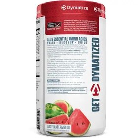 تصویر امینو ا ل ل 9 دایماتیز AMINO ALL9 Dymatize