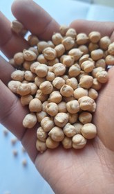 تصویر نخود روس سایز 6 و 7 