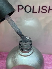 تصویر دیسکو تاپ شاین Salon 