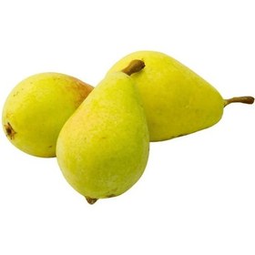 تصویر گلابی بیروتی Beirut pear