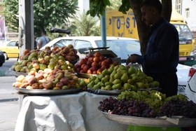 تصویر دانلود عکس با کیفیت میوه های زمستانی با فروشنده 