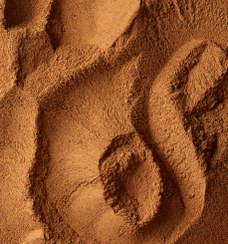 تصویر دارچین پودر 