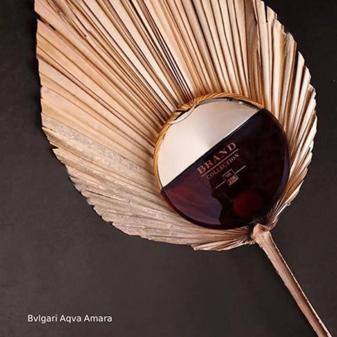 Bvlgari aqva amara nz deals