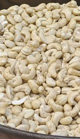 تصویر بادام هندی 