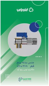 تصویر شیر پیسوار کسری 