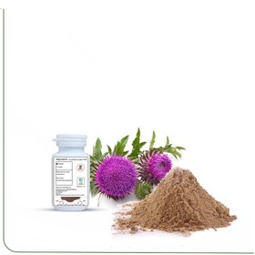 تصویر سیلیمارین خار مریم از 10 درصد تا 80 درصد 