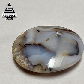 تصویر شجر S72 