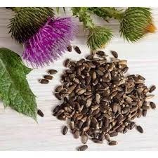 تصویر بذر خار مریم (10گرمی ) 