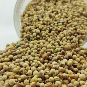 تصویر تخم گشنیز 