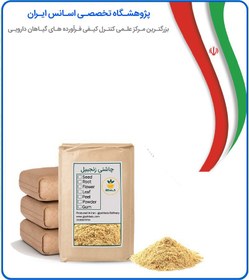 تصویر چاشنی زنجبیل فله 