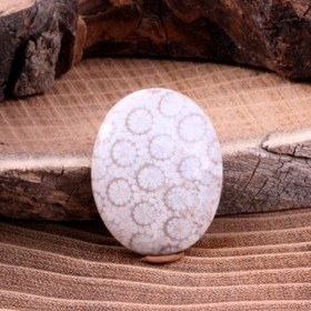 تصویر نگین فسیل مرجان 