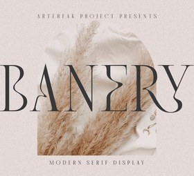 تصویر Banery Modern Serif 