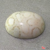 تصویر نگین انگشتر مرجان درشت با خواص عجیب _کد:۱۹۳۸۵ 