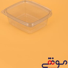 تصویر ظرف دلی 500(تعداد درکارتن500) 