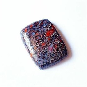 تصویر نگین دایناسور بون 