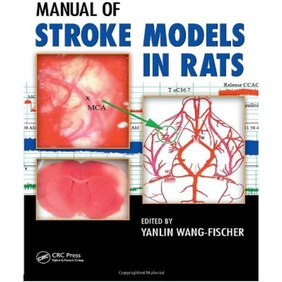 خرید و قیمت دانلود کتاب Manual of Stroke Models in Rats | ترب