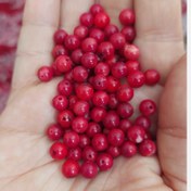 تصویر مهره مرجان سرخ یا قرمز طبیعی اصل سایز 6 دوطرف سوراخ دار 