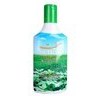 تصویر شامپو نعنا 300 میل صحت ا Sehat Mint Hair Shampoo 300ml Sehat Mint Hair Shampoo 300ml