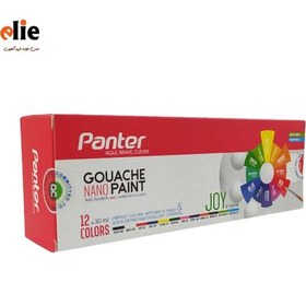 تصویر گواش ۱۲ رنگ پنتر کد GP-711-12 